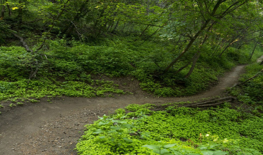 Sundance Mountain Biking Trails