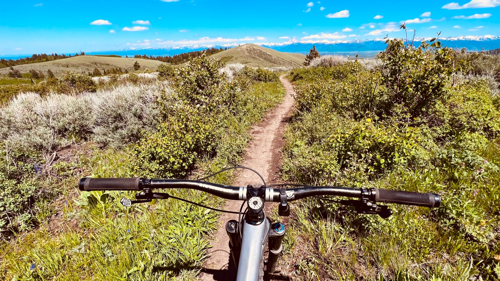 Trail Tips & Biking Etiquette