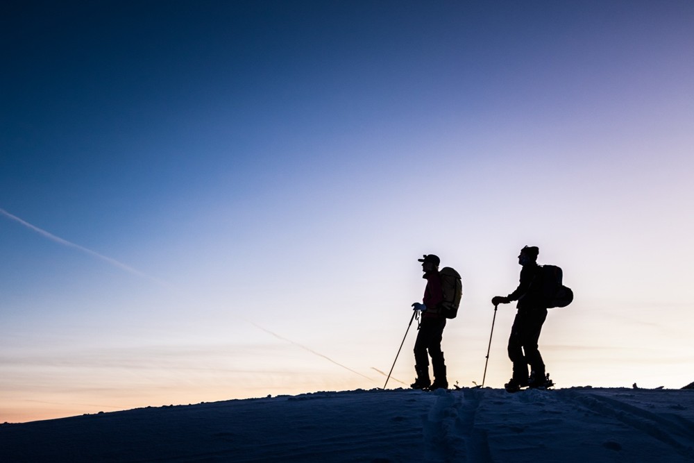 Ski Touring With Your Dog