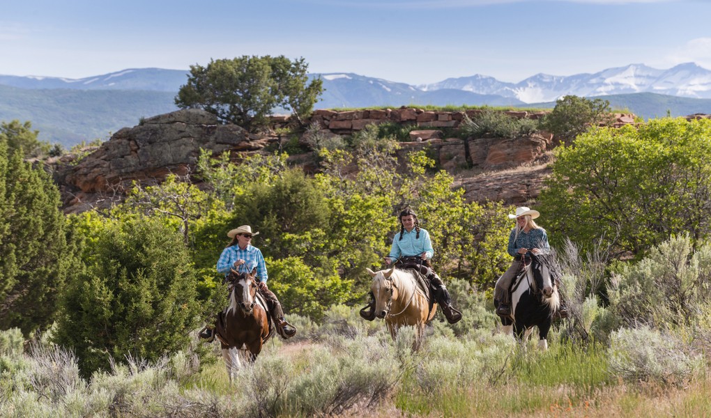 Horseback Riding