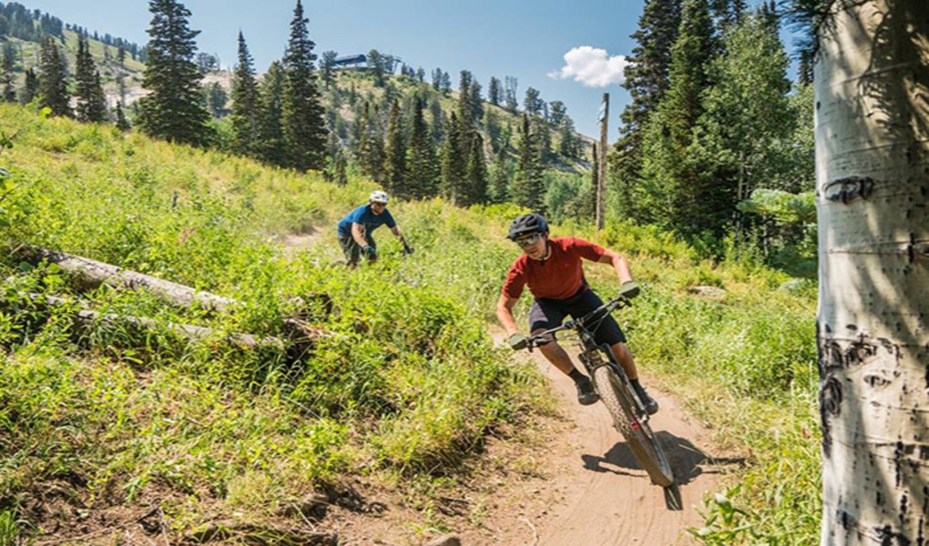 Mountain Biking