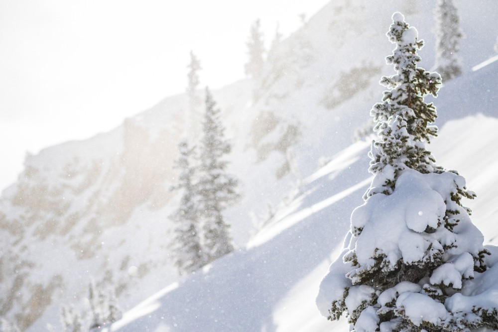 Sustainability | Snowbird