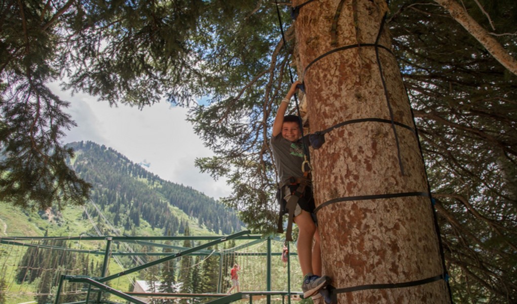 TREE CLIMBING