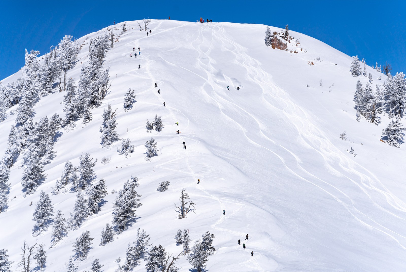 Best-ski-runs-in-utahpng