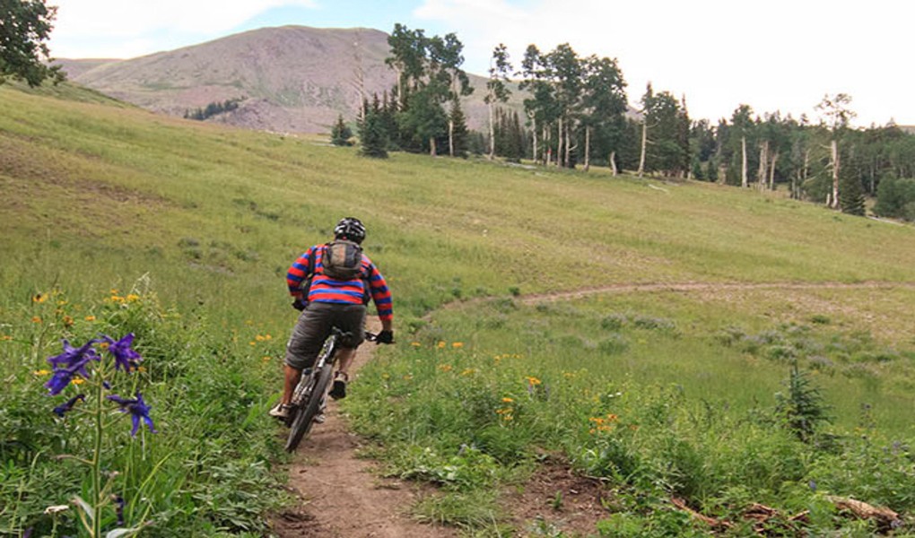 Mountain Biking