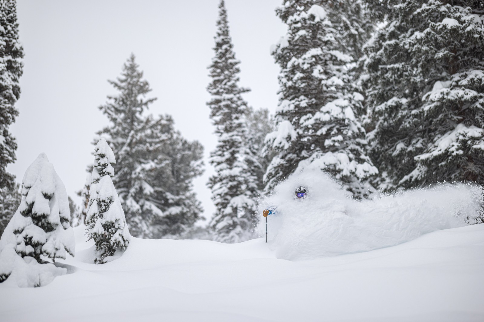 Utah Reaches 700" of Snowfall