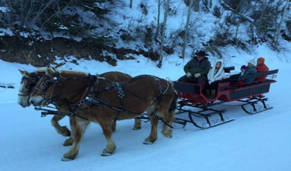 Horse Drawn