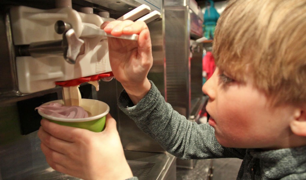 Self-Serve Frozen Yogurt