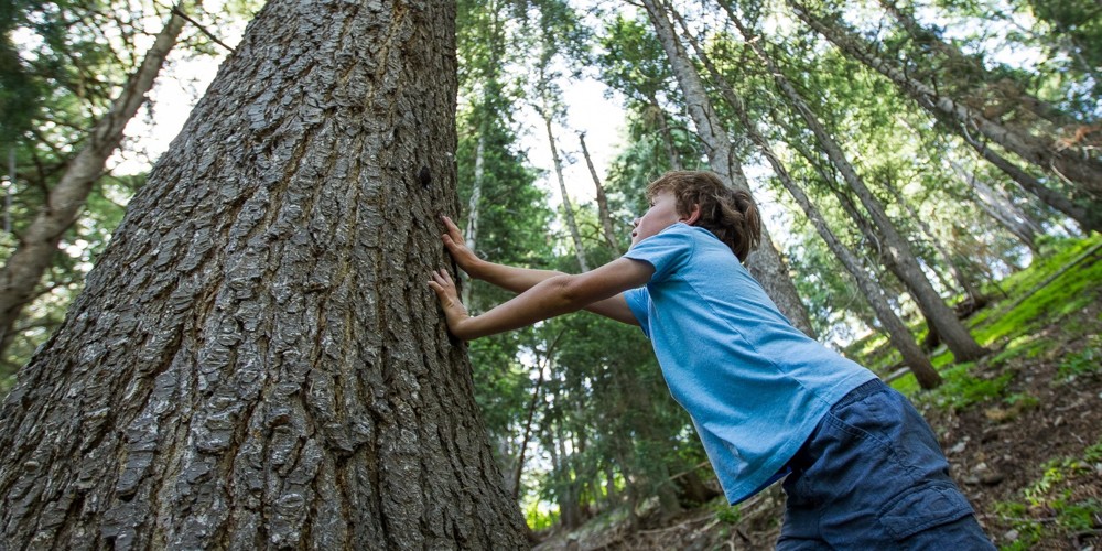 Savor the Shade: Shady Hiking Trails in Northern Utah