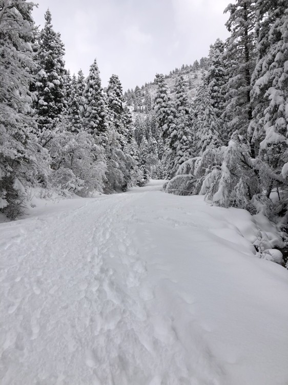 Running Outside in the Winter