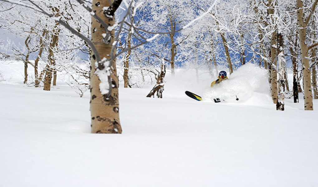 Powder Mountain