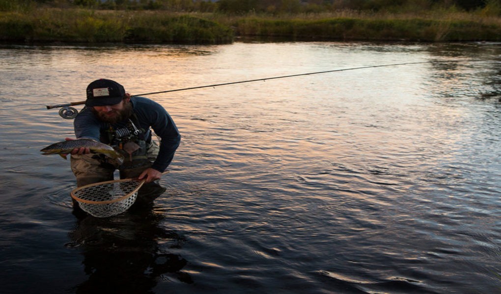 Sunset Catch