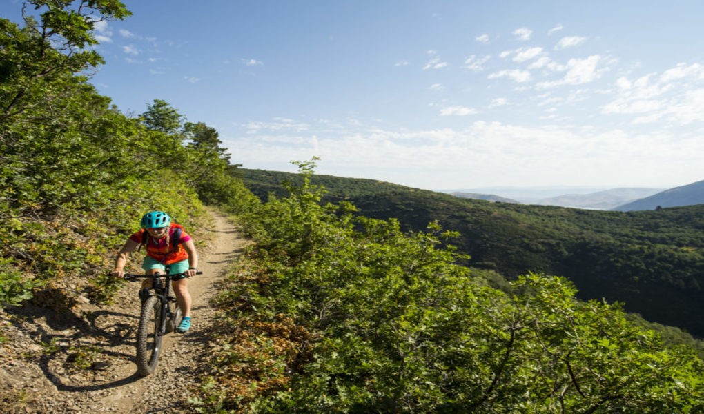 Mountain Biking