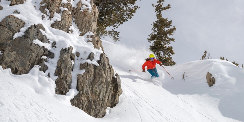 Sing a Song of Stoke - Snowbird Turns 50!