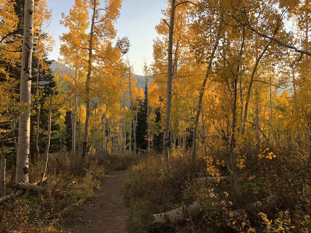 Spectacular Fall Hikes Around Salt Lake City, Utah